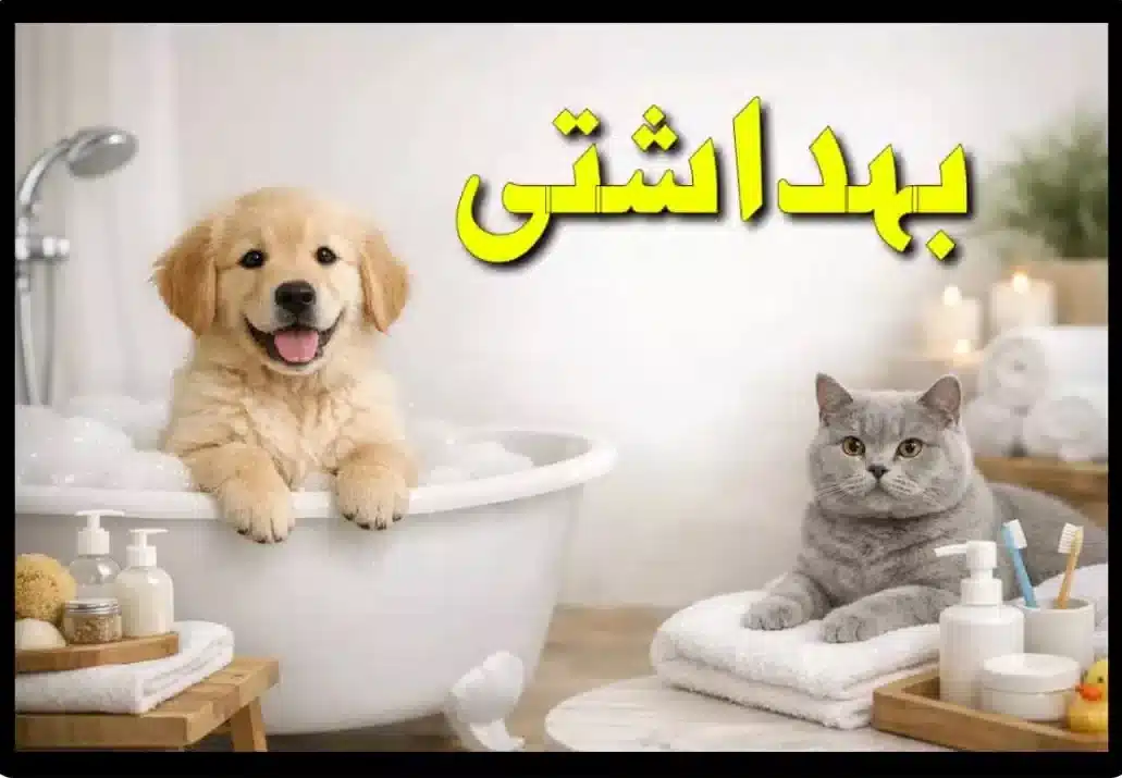 محصولات بهداشتی و مراقبتی سگ و گربه شامل شامپو، قطره، مسواک و لوازم نظافت