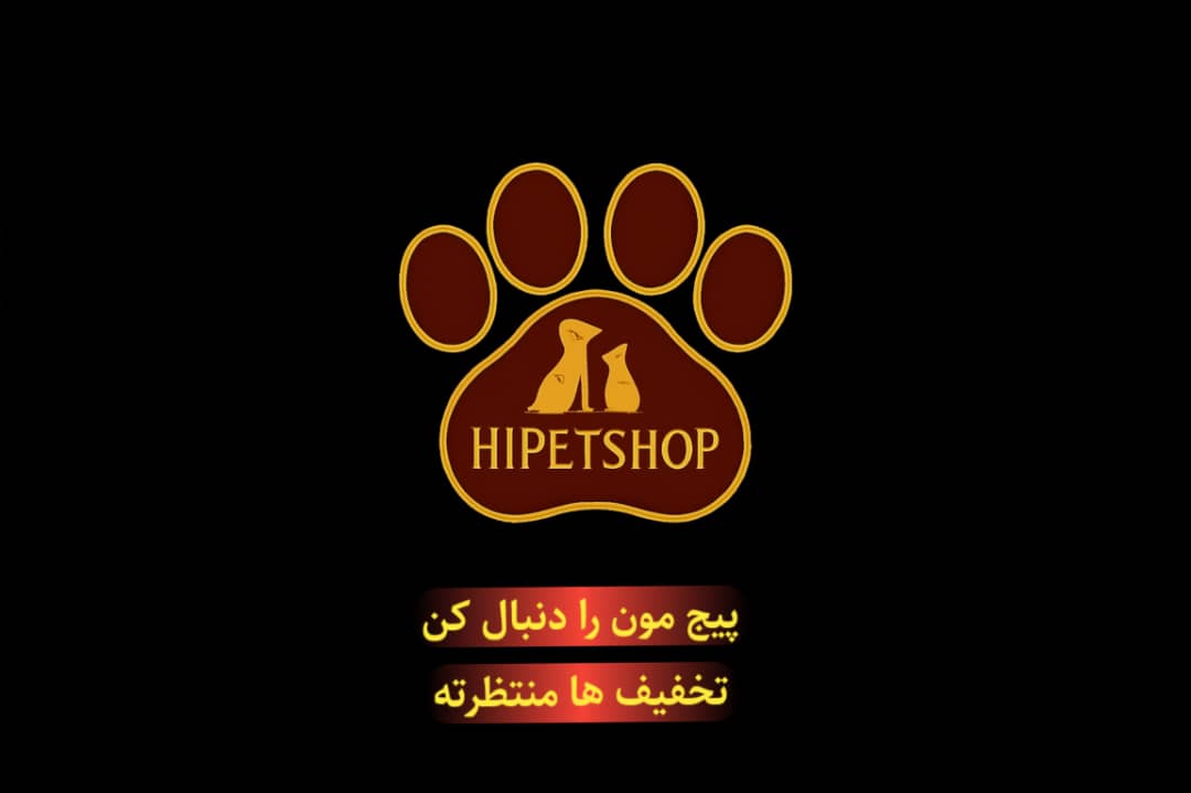 پیج اینستاگرام