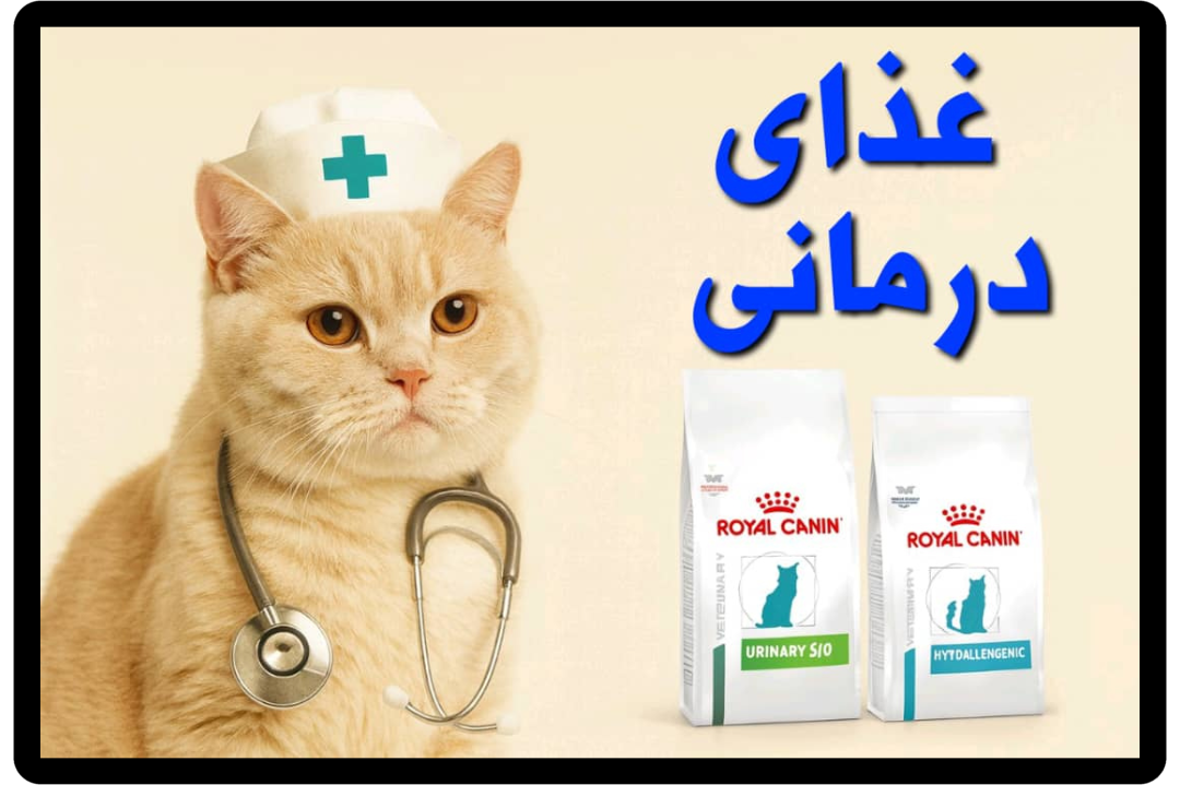 غذاهای درمانی تخصصی سگ و گربه برای مشکلات کلیوی، ادراری، گوارشی و حساسیت