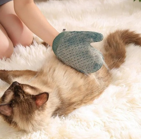 دستکش پلاستیکی برکو | جمعآوری مو و پرز حیوانات | پتشاپ هایپت شیراز