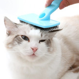 استفاده از شانه F200 روی سگ یا گربه | ارسال سریع شیراز