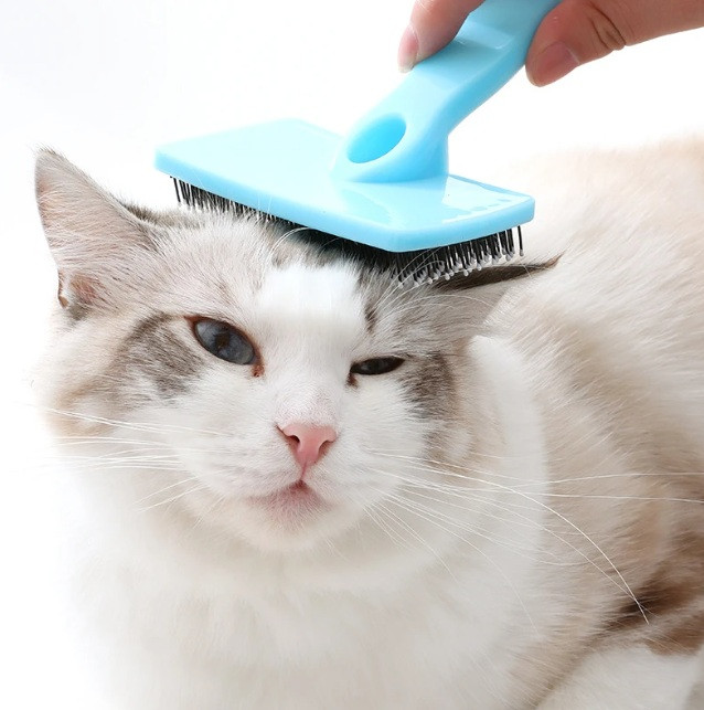 استفاده از شانه F200 روی سگ یا گربه | ارسال سریع شیراز