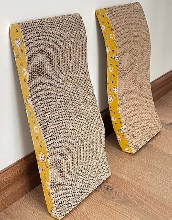 اسکرچر موجی گربه | مقوایی مقاوم | پتشاپ هایپت شیراز