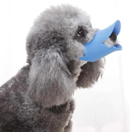 پوزهبند اردکی سگ | رنگ رندوم | پتشاپ هایپت شیراز