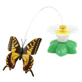 اسباببازی پروانه متحرک گربه | سرگرمی جذاب | پتشاپ هایپت شیراز