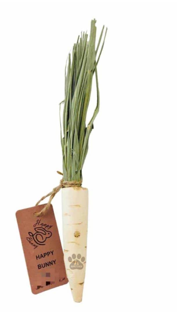 تشویقی و دندانی هویج چوبی همراه با علوفه هپی بانی مخصوص جوندگان| پت‌شاپ هایپت شیراز