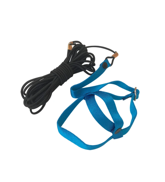 خرید جلیقه پرواز طوطیسانان | پتشاپ هایپت شیرا