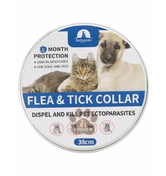 قلاده ضد کک و کنه سگ و گربه خارجی | محافظت ۸ ماهه | دو سایز قابل انتخاب | پت‌شاپ هایپت شیراز