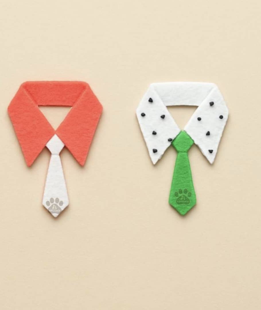 کراوات و دستمال گردنی فانتزی پرنده | لباس طوطی و عروس هلندی | طراحی پارچه‌ای سبک | پت‌شاپ هایپت شیراز