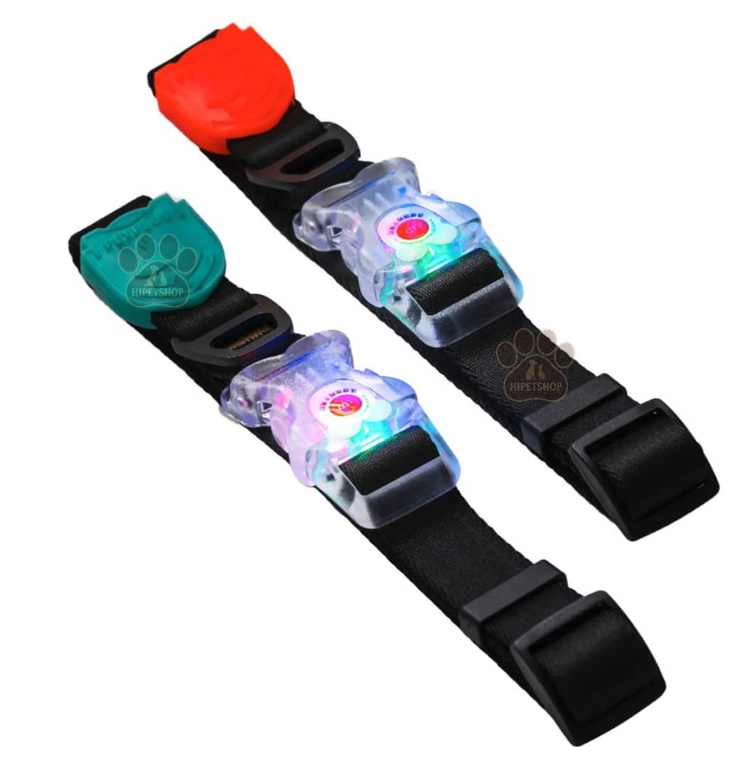 قلاده چراغدار ضدآب سگ پت‌پلاس | مناسب پیاده‌روی شبانه | طراحی مقاوم و قابل تنظیم | پت‌شاپ هایپت شیراز