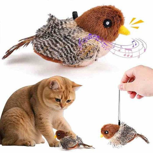 اویز گربه مدل پرنده موزیکال | اسباببازی صدا دار | مناسب تحریک غریزه شکار | پتشاپ هایپت شیراز