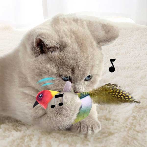 خرید آویز گربه مدل پرنده موزیکال | تحریک حس شکار | مناسب بازی و تخلیه انرژی | پت‌شاپ هایپت شیراز