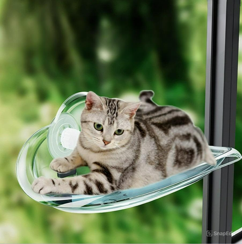 جای خواب پشت پنجرهای گربه | نصب محکم و جنس مقاوم | مناسب گربه بالغ | پتشاپ هایپت شیراز