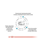 خرید غذای خشک سگ هایپوآلرژنیک رویال کنین | ۲ کیلویی | ساخت فرانسه | مناسب سگهای حساس | ارسال فوری از پتشاپ HiPet شیراز