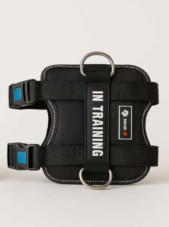 قلاده پلیسی سگ هارنس بایسون XL ضدحساسیت و مقاوم | ارسال سریع از هایپتشاپ