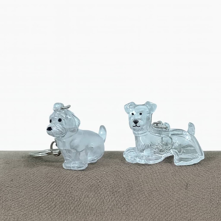 جاسوئیچی موی سگ و گربه شیشهای یادگاری پت | نگهدارنده موی سگ و گربه | پتشاپ هایپت در شیراز