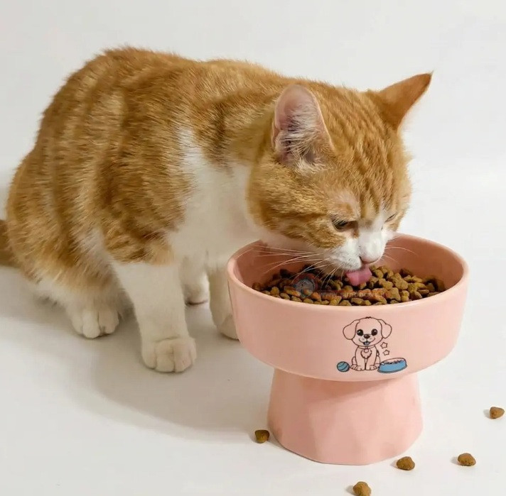 ظرف سرامیکی آب و غذای پایهدار سگ و گربه مدل پیرامید لبه بلند | ظرف غذای استاندارد پت