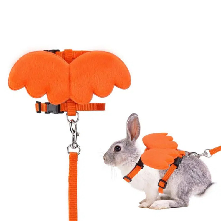 قلاده خرگوش مدل بال فرشته | همراه با لید| هایپت