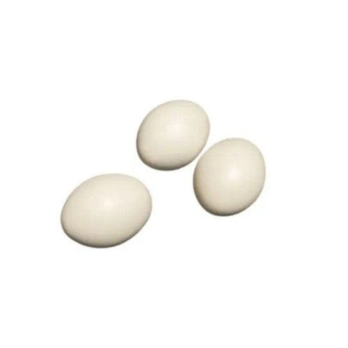 تخم مصنوعی کبوتر و پرنده | Artificial Bird Eggs | بسته 3 عددی