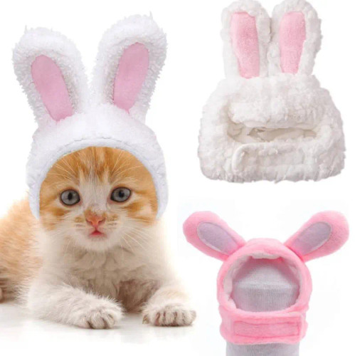 کلاه خرگوشی گربه و سگ کوچک | Bunny Hat for Cats & Small Dogs | اکسسوری عکاسی پت | hipetshop.ir