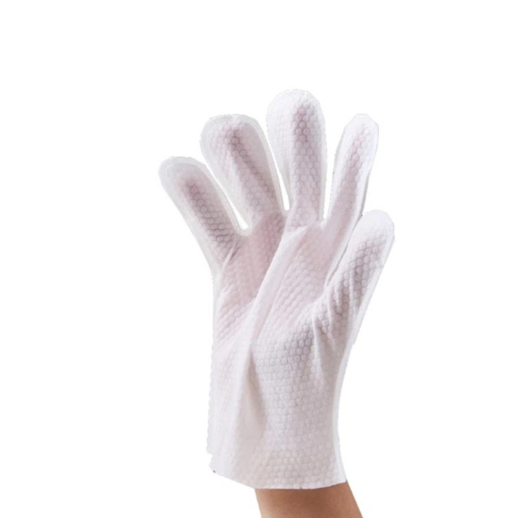 عکس دستمال مرطوب دستکشی سگ و گربه| دستکش تمیزکننده سگ و گربه | hipetshop.ir