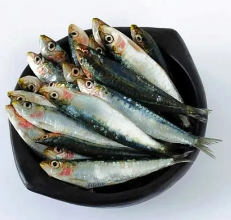 تشویقی ماهی کیلکا سگ و گربه _ تشویقی سوپر پرمیوم دکتر ادوارد ، بهترین تشویقی سگ _ hipetshop.ir