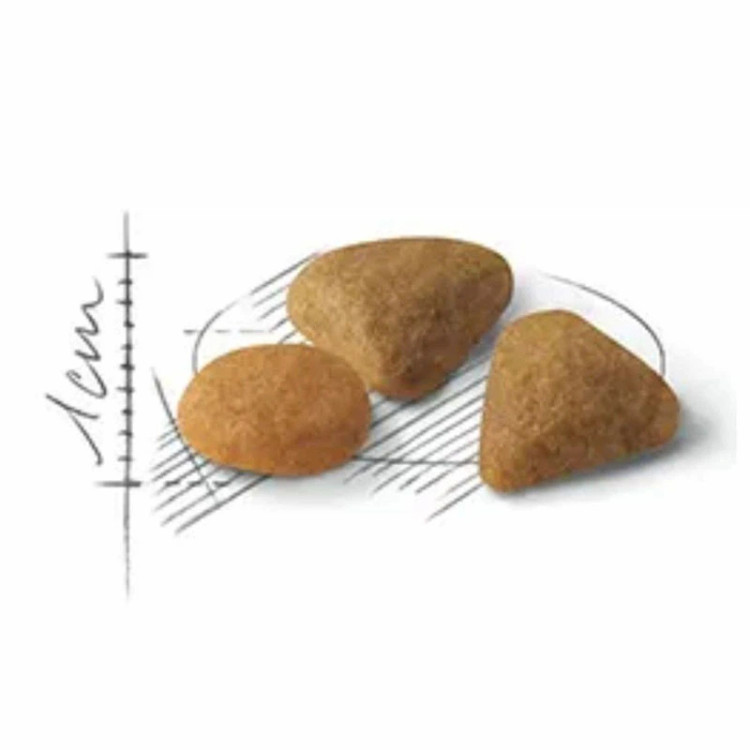 شکل دانه بندی غذای اگزیجنت رویال کنین گربه _ پت شاپ هایپت شیراز