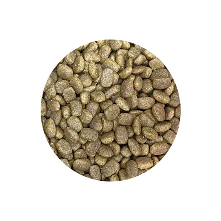 شکل دانه و اندازه غذای رفلکس گربه طعم بره_ reflex plus lamb rice_ hipetshop.ir