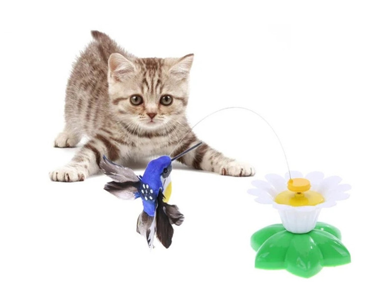 Rotating bird cat toy spinning