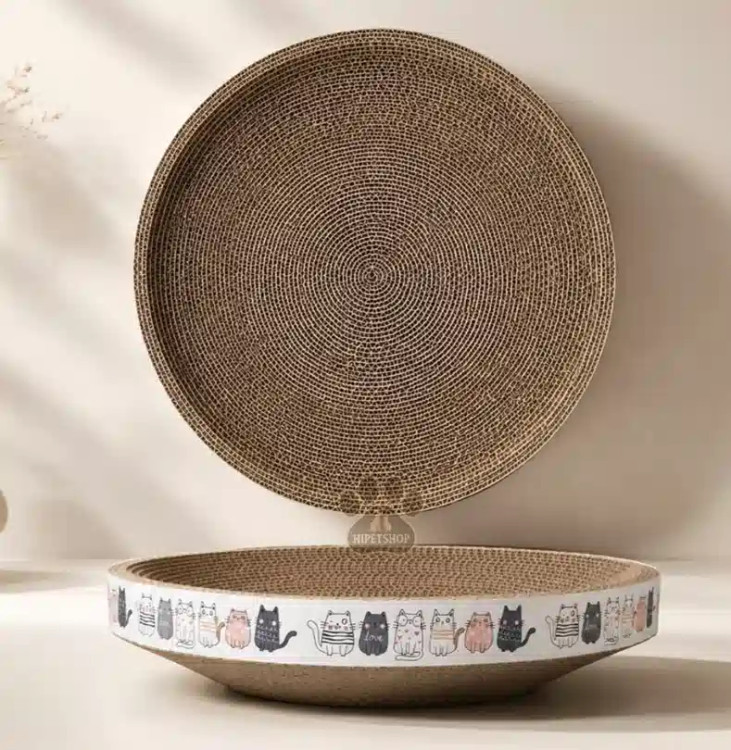 عکس نمای بغل و روبروی تخت خواب اسکرچر گربه خارجی