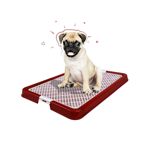 Danniel Medium Dog Training Tray
