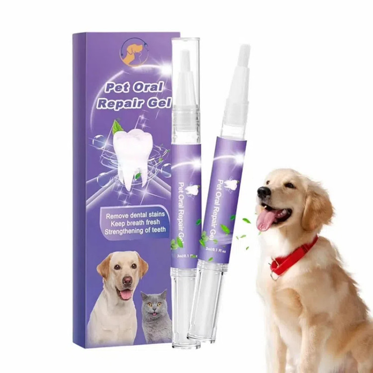 قلم ژل دندان سگ و گربه یگبونگ Pet Oral Repair Gel ۳ میلیلیتر، سفیدکننده و خوشبوکننده دهان